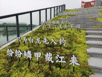 滴水映初心 • 聚链惠民生丨福州龙舟主题公园开放以来首场龙舟赛事精彩来袭104.png