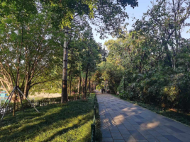 用“新”管护 温泉公园打造“全龄友好”休闲新地标355.png