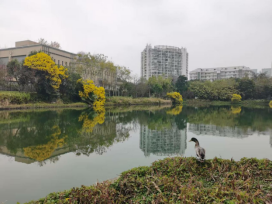 用“新”管护 温泉公园打造“全龄友好”休闲新地标356.png