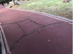 用“新”管护 温泉公园打造“全龄友好”休闲新地标1556.png