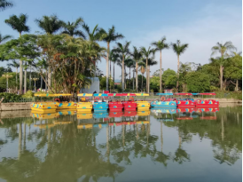 用“新”管护 温泉公园打造“全龄友好”休闲新地标1948.png