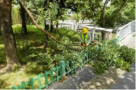 防御台风“丹娜丝” 福州水务集团迅速行动2678.png