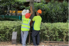 防御台风“丹娜丝” 福州水务集团迅速行动2679.png