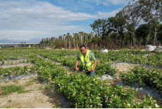 1752714736090012190.png 水务工程助力荒坡蝶变!义序河畔茉莉飘香555.png