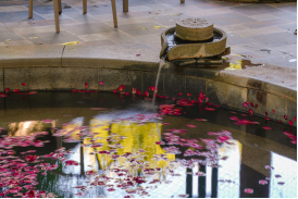 两节嘉年华精彩不停 福州水务多元服务绘就文旅新图景783.png