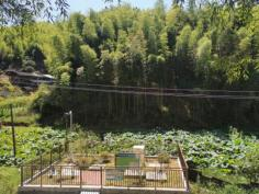 决胜收官战丨污水变清流 乡野展新颜 所属海环公司聚焦农污治理 绘就乡村振兴生态画卷610.png