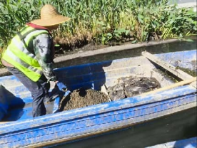 开年谋新篇擘画绿色新画卷 福州水务集团助力西湖再现水清岸绿美景576.png